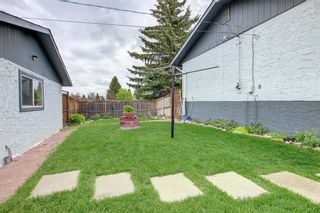 Photo 45: 127 Cedar Ridge Crescent SW in Calgary: Cedarbrae Detached for sale : MLS®# A1230821