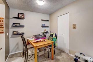 Photo 5: 101B 7301 4A Street SW in Calgary: Kingsland Apartment for sale : MLS®# A2078489
