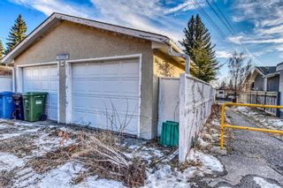 Photo 3: 3620 58 Avenue SW in Calgary: Lakeview Detached for sale : MLS®# A1053407