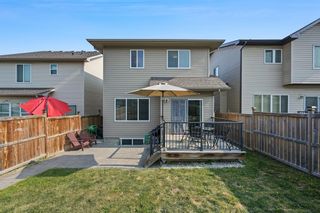 Photo 43: 81 Panora View NW in Calgary: Panorama Hills Detached for sale : MLS®# A2001970