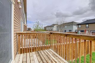 Photo 44: 320 VIEWPOINTE Terrace: Chestermere Semi Detached for sale : MLS®# A1215425
