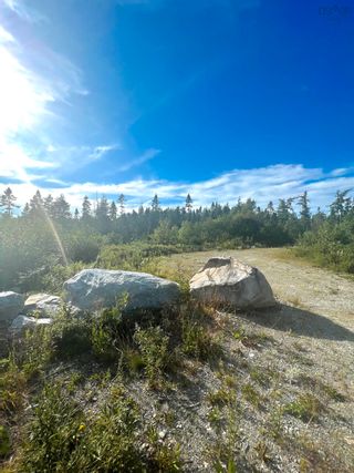 Photo 1: No 3 Highway in Walls Lake: 407-Shelburne County Vacant Land for sale (South Shore)  : MLS®# 202217944