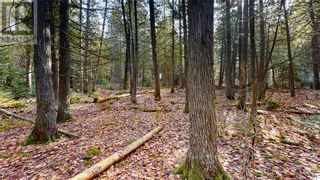 Photo 18: 6 Sandy Point Road in Manitowaning: Vacant Land for sale : MLS®# 2112427