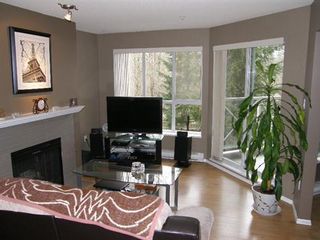 Photo 2: 313 2551 PARKVIEW Lane in Port Coquitlam: Home for sale : MLS®# V925589