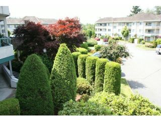 Photo 8: 214 2451 GLADWIN Road in Abbotsford: Abbotsford West Condo for sale in "Centennial Court" : MLS®# F1317757