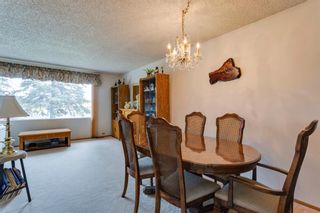 Photo 13: 7339 37 Avenue NW in Calgary: Bowness Detached for sale : MLS®# A2002544