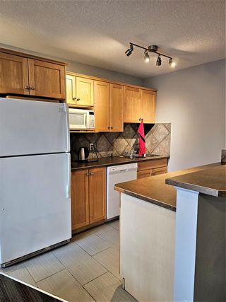 Photo 23: 215 1414 17 Street SE in Calgary: Inglewood Apartment for sale : MLS®# A2041418