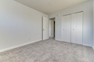 Photo 15: 5501 & 5503 8 Avenue SE in Calgary: Penbrooke Meadows Full Duplex for sale : MLS®# A2013609