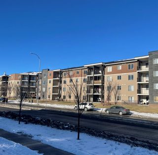 Main Photo: 219 7180 80 Avenue NE in Calgary: Saddle Ridge Apartment for sale : MLS®# A2017580