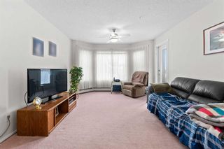 Photo 11: 3415 3000 Hawksbrow Point NW in Calgary: Hawkwood Apartment for sale : MLS®# A2102212