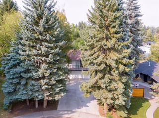 Photo 50: 62 Massey Place SW in Calgary: Mayfair Detached for sale : MLS®# A1132733