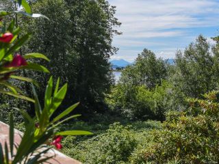 Photo 53: 66 Orchard Park Dr in COMOX: CV Comox (Town of) House for sale (Comox Valley)  : MLS®# 777444