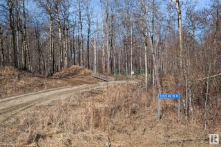 Main Photo: 53520 RGE RD 35: Rural Lac Ste. Anne County Vacant Lot/Land for sale : MLS®# E4382247