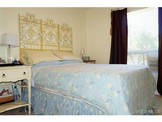 Photo 17: 1723 Albert Ave in VICTORIA: Vi Fernwood House for sale (Victoria)  : MLS®# 736672