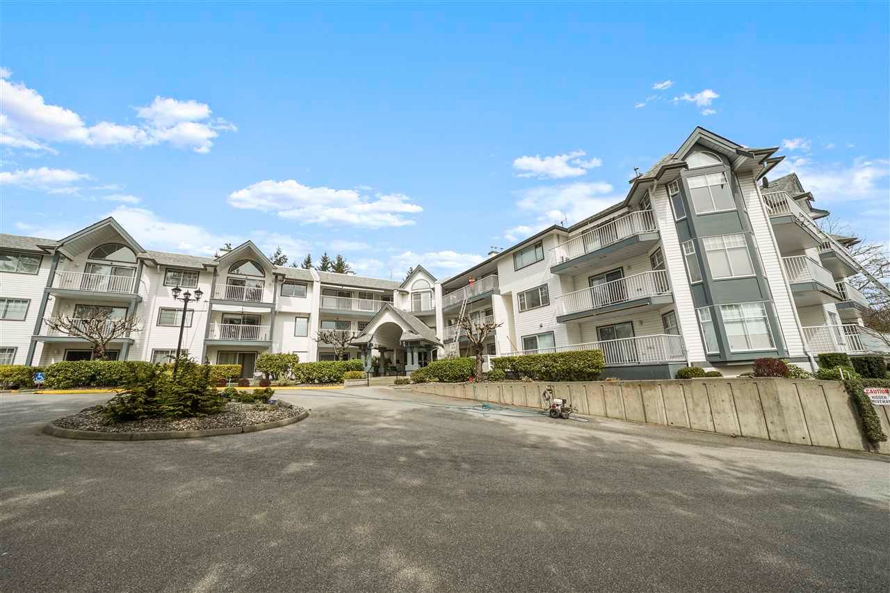 Main Photo: 211 11601 227 Street in Maple Ridge: East Central Condo for sale in "Castle Mount" : MLS®# R2581285