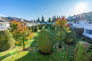 Photo 20: 6 33922 KING Road in Abbotsford: Poplar Townhouse for sale in "Kingsview Estates" : MLS®# R2420349