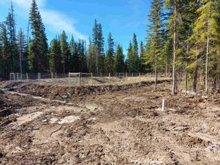 Photo 8: LOT 1 S CARIBOO Highway in Prince George: Pineview Land for sale (PG Rural South)  : MLS®# R2736269