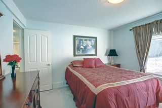 Photo 33: 29 Jenkins Drive: Red Deer Semi Detached for sale : MLS®# A1175588