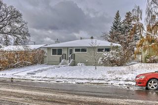 Photo 40: 14 Cornell Road NW in Calgary: Cambrian Heights Detached for sale : MLS®# A2090560