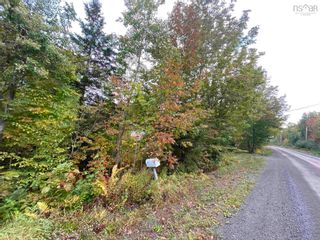 Photo 11: 1005 Heathbell Road in Scotch Hill: 108-Rural Pictou County Vacant Land for sale (Northern Region)  : MLS®# 202124669