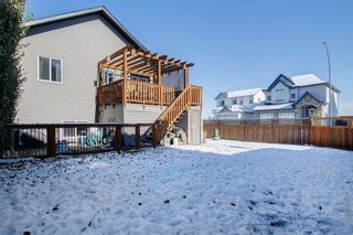 Photo 26: 19 Dallaire Drive: Carstairs Detached for sale : MLS®# A1044807