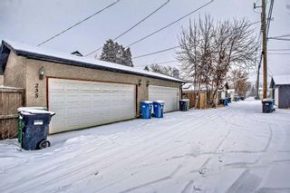 Photo 38: 235 21 Avenue NW in Calgary: Tuxedo Park Semi Detached (Half Duplex) for sale : MLS®# A2105645