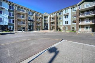 Photo 18: 1106 6118 80 Avenue NE in Calgary: Saddle Ridge Apartment for sale : MLS®# A2123612