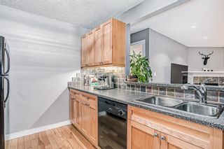 Photo 11: 401 930 18 Avenue SW in Calgary: Lower Mount Royal Apartment for sale : MLS®# A2014448