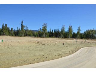 Photo 17: LOT 4 BELL Place in Mackenzie: Mackenzie -Town Land for sale in "BELL PLACE" : MLS®# N227296