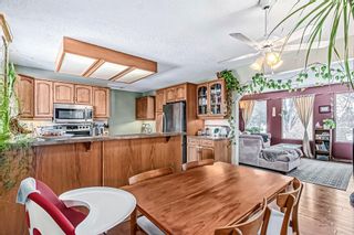 Photo 19: 14011 Deer Ridge Drive SE in Calgary: Deer Ridge Detached for sale : MLS®# A2030459