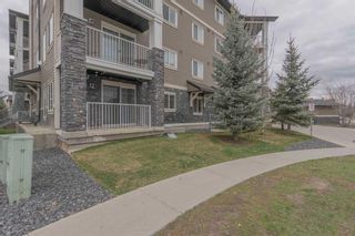 Photo 23: 3101 115 Prestwick Villas SE in Calgary: McKenzie Towne Apartment for sale : MLS®# A2129213