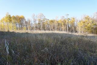 Photo 11: 14 53214 RR 13: Rural Parkland County Rural Land/Vacant Lot for sale : MLS®# E4270600