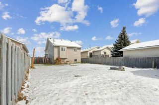 Photo 28: 57 Martinview Crescent NE in Calgary: Martindale Detached for sale : MLS®# A2124236