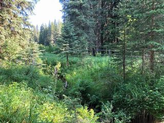 Photo 8: 231115 Forestry Way in Rural Rocky View County: Rural Rocky View MD Residential Land for sale : MLS®# A2056562