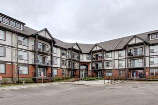 Photo 4: 323 250 New Brighton Villas SE in Calgary: New Brighton Apartment for sale : MLS®# A1195613