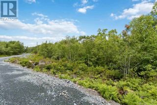 Photo 4: Lot 6 Maple Ridge Drive in White Point: Vacant Land for sale : MLS®# 202315187