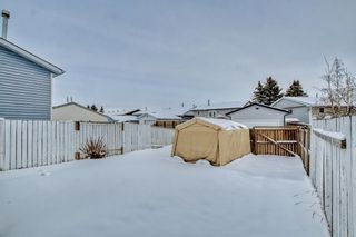 Photo 45: 88 Falmere Way NE in Calgary: Falconridge Detached for sale : MLS®# A2022162