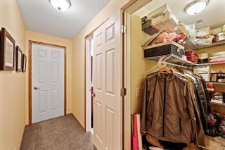 Photo 46: 224 Mt Selkirk Close SE in Calgary: McKenzie Lake Detached for sale : MLS®# A1192685