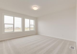 Photo 17: 71 Red Sky Crescent NE in Calgary: Redstone Detached for sale : MLS®# A2005123