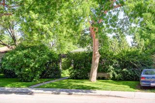 Photo 10: 242 24 Avenue NE in CALGARY: Tuxedo Residential Detached Single Family for sale (Calgary)  : MLS®# C3624676