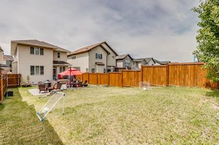 Photo 29: 22 Hillcrest Street SW: Airdrie Detached for sale : MLS®# A2054231
