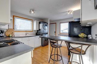 Photo 8: 20 Bedwood Crescent NE in Calgary: Beddington Heights Detached for sale : MLS®# A2099844