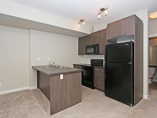 Photo 31: 140 300 Marina Drive: Chestermere Apartment for sale : MLS®# A1224918