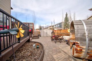 Photo 46: 317 Chapalina Terrace SE in Calgary: Chaparral Detached for sale : MLS®# A1197308