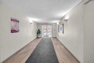 Photo 2: 5105 70 Panamount Drive NW in Calgary: Panorama Hills Apartment for sale : MLS®# A2102179