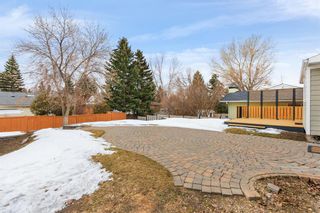 Photo 33: 5736 Dalhousie Drive NW in Calgary: Dalhousie Detached for sale : MLS®# A2115305