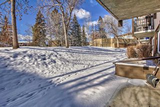 Photo 5: 513 8948 Elbow Drive SW in Calgary: Haysboro Apartment for sale : MLS®# A2106950