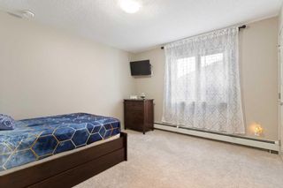 Photo 29: 5039 Norris Road NW, North Haven, Calgary, MLS® A2124686