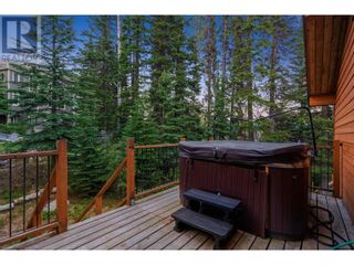 Photo 45: 6395 Whiskey Jack Road in Big White: House for sale : MLS®# 10276788