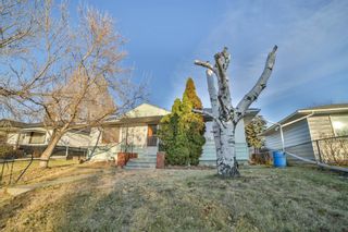 Main Photo: 2012 46 Street SE in Calgary: Forest Lawn Detached for sale : MLS®# A2009404